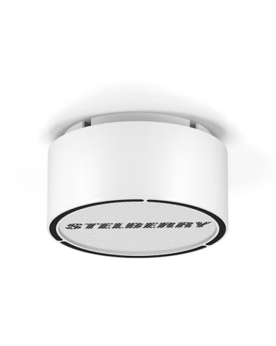 Громкоговоритель STELBERRY F-306W в Березниках Акустические системы Pintop.ru