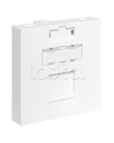 Вставка розеточная TERACOM PRO 45x45мм формат Mosaic на 1 модуль Keystone белая EKF (TRP-INS-MOS-2M1P-WH) в Березниках Розетки компьютерные и телефонные Pintop.ru